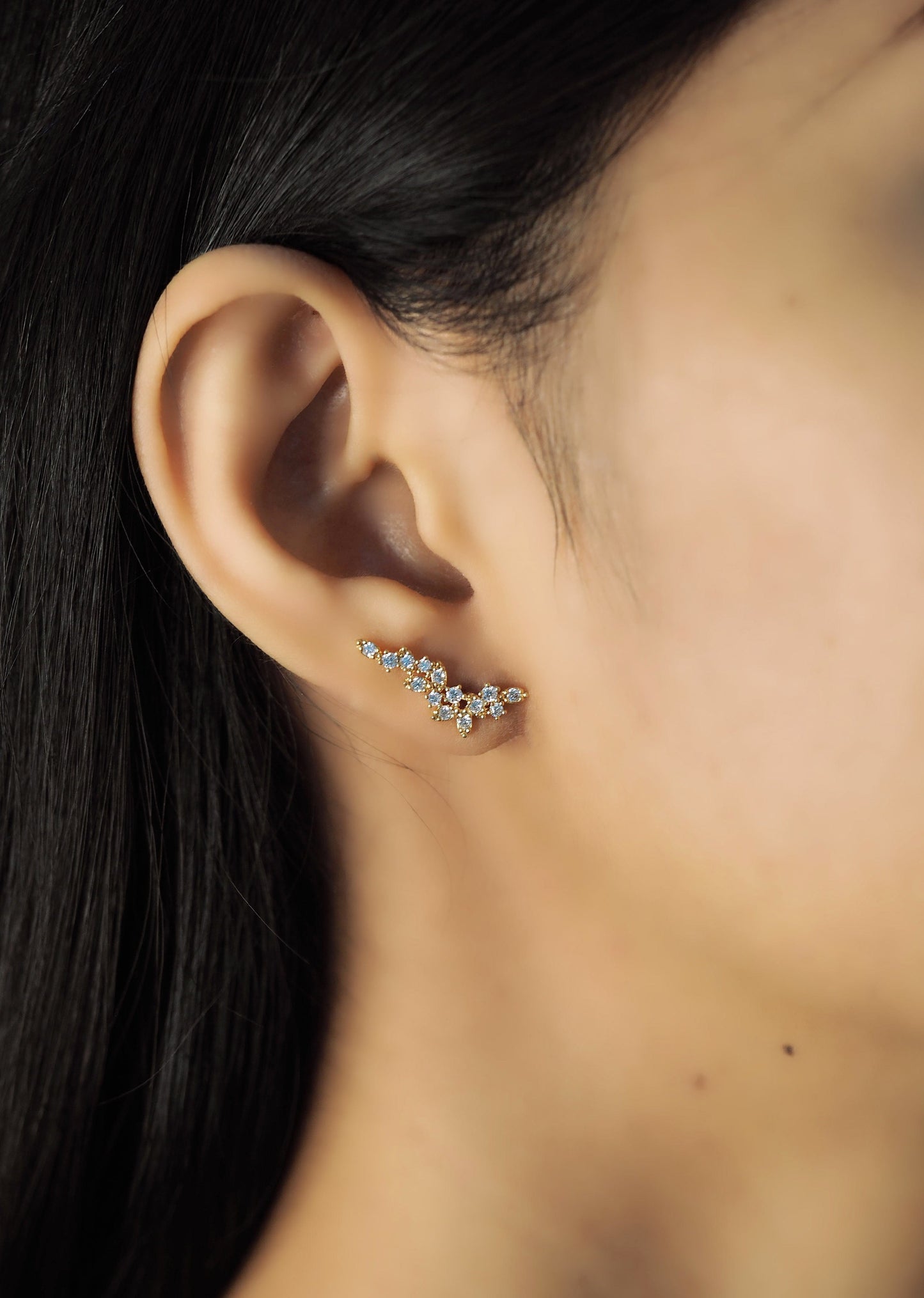Laurel Ear Climbers
