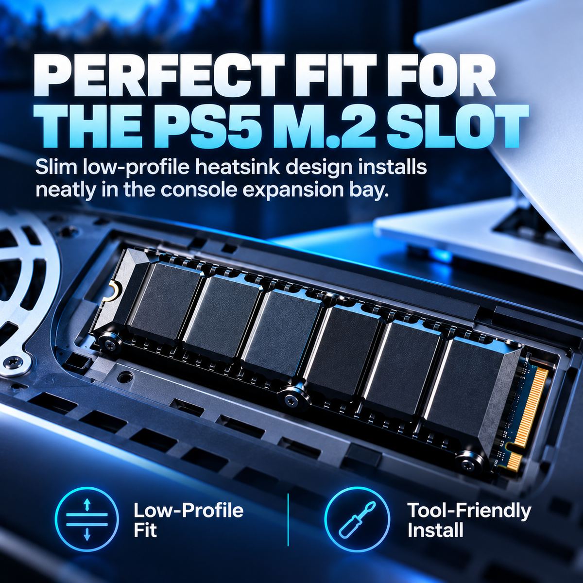 SSD with Heatsink