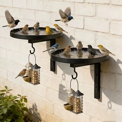 Wall-Mounted Metal Bird Bath ‚Äì Antique Bronze Finish üê¶üõÅüß±üè°