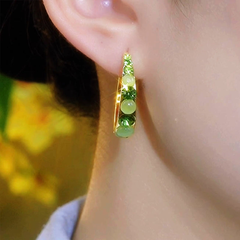 Women‚Äôs Sparkling Claw Earrings‚ú®